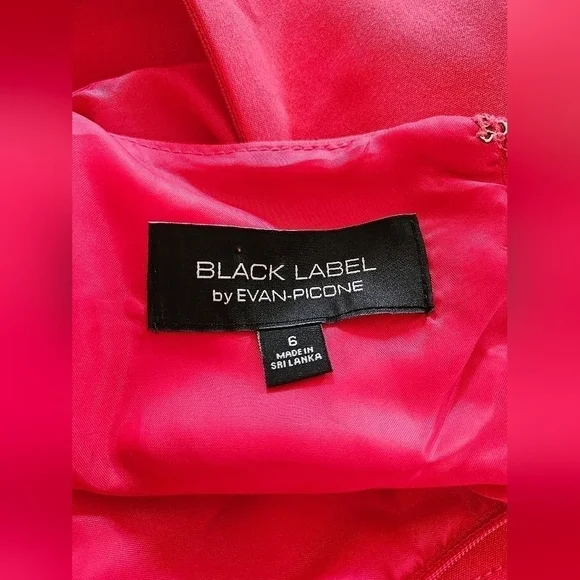 Black Label by Evan-Picone Reddish Pink Shift Sleeveless Dress-Size 6 - Picture 8 of 8